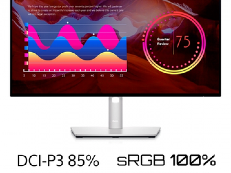 Màn hình đồ họa Dell Ultrasharp U2422H 24” (IPS/ FullHD/ 60Hz/5ms/ USB-C)